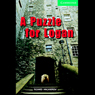 A Puzzle for Logan (Unabridged) Audiobook, by Richard MacAndrew
