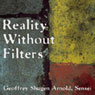 Reality Without Filters: Ching-Chings Sound of Raindrops Audiobook, by Geoffrey Shugen Arnold Sensei