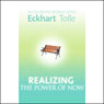 Realizing the Power of Now: An In-Depth Retreat with Eckhart Tolle (Abridged) Audiobook, by Eckhart Tolle