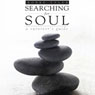 Searching for Soul: A Survivors Guide (Unabridged) Audiobook, by Bobbe Tyler