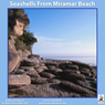 Seashells from Miramar Beach Audiobook, by Dr. Miles O'Brien Riley