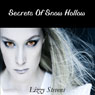 Secrets of Snow Hollow (Unabridged) Audiobook, by Lizzy Stevens