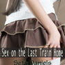 Sex on the Last Train Home: A Mature Woman, Younger Man Erotic Fantasy (Unabridged) Audiobook, by Seth Daniels