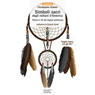 Simboli sacri degli indiani dAmerica (Sacred Symbols of Native Americans) (Unabridged) Audiobook, by Christopher Dubois