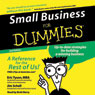 Small Business for Dummies, 2nd Edition (Abridged) Audiobook, by Eric Tyson