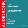 The Snowstorm (Abridged) Audiobook, by Leo Tolstoy
