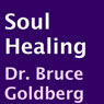 Soul Healing (Unabridged) Audiobook, by Bruce Goldberg