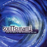 Soul Tsunami (Abridged) Audiobook, by Leonard Sweet