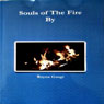 Souls of the Fire (Unabridged) Audiobook, by Rayna Gangi