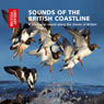 Sounds of the British Coastline: A Journey in Sound Along the Shores of Britain (Unabridged) Audiobook, by Cheryl Tipp