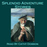 Splendid Adventure Stories: Gripping Tales from the Master Storytellers (Unabridged) Audiobook, by John Buchan