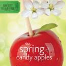 The Spring of Candy Apples (Unabridged) Audiobook, by Debbie Viguie