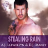 Stealing Rain (Unabridged) Audiobook, by A. J. Llewellyn