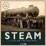 Steam: A Life on the Railway (Unabridged) Audiobook, by Pete Waterman