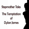 Stepmother Tales: The Temptation of Dylan James (Unabridged) Audiobook, by Seth Daniels