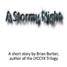 A Stormy Night (Unabridged) Audiobook, by Brian Barber