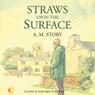 Straws Upon the Surface (Unabridged) Audiobook, by A. M. Story