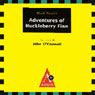 A Study Guide to Mark Twains Adventures of Huckleberry Finn Audiobook, by Kirsten Silva Gruesz