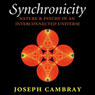 Synchronicity: Nature and Psyche in an Interconnected Universe: Carolyn and Ernest Fay Series in Analytical Psychology (Unabridged) Audiobook, by Dr. Joseph Cambray
