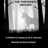 The Thirteenth Unicorn: The Ben Alderman Series (Unabridged) Audiobook, by W. D. Newman