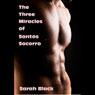 The Three Miracles of Santos Socorro: Gay Erotic Humor (Unabridged) Audiobook, by Sarah Black