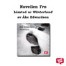Tro: En StorySide novell (Suspect: A StorySide Novel) (Unabridged) Audiobook, by Ake Edwardson
