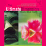 The Ultimate Dimension Audiobook, by Thich Nhat Hanh