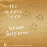 Under Suspicion (Unabridged) Audiobook, by The Mulgray Twins