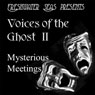 Voices of the Ghost II: Mysterious Meetings - Ghost stories by Mary E. Wilkins Freeman, Richard Middleton, and Amelia B. Edwards (Unabridged) Audiobook, by Mary E. Wilkins Freeman