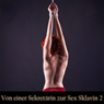Von einer Sekret?rin zur Sex Sklavin 2: Eine BDSM Fantasie (German Edition) (Unabridged) Audiobook, by Seth Daniels