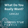 What Do You Really Want?: Insights on the Path of Self-Inquiry Audiobook, by Gangaji