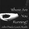 Where Are You Running?: Baizhangs Wild Geese Audiobook, by John Daido Loori Roshi
