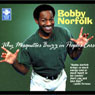 Why Mosquitoes Buzz in Peoples Ears (Abridged) Audiobook, by Bobby Norfolk
