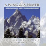 A Wing and a Prayer: Meditations and Visualizations (Unabridged) Audiobook, by Brian Luke Seaward