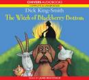 The Witch of Blackberry Bottom (Unabridged) Audiobook, by Dick King-Smith
