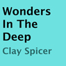 Wonders in the Deep (Unabridged) Audiobook, by Clay Spicer